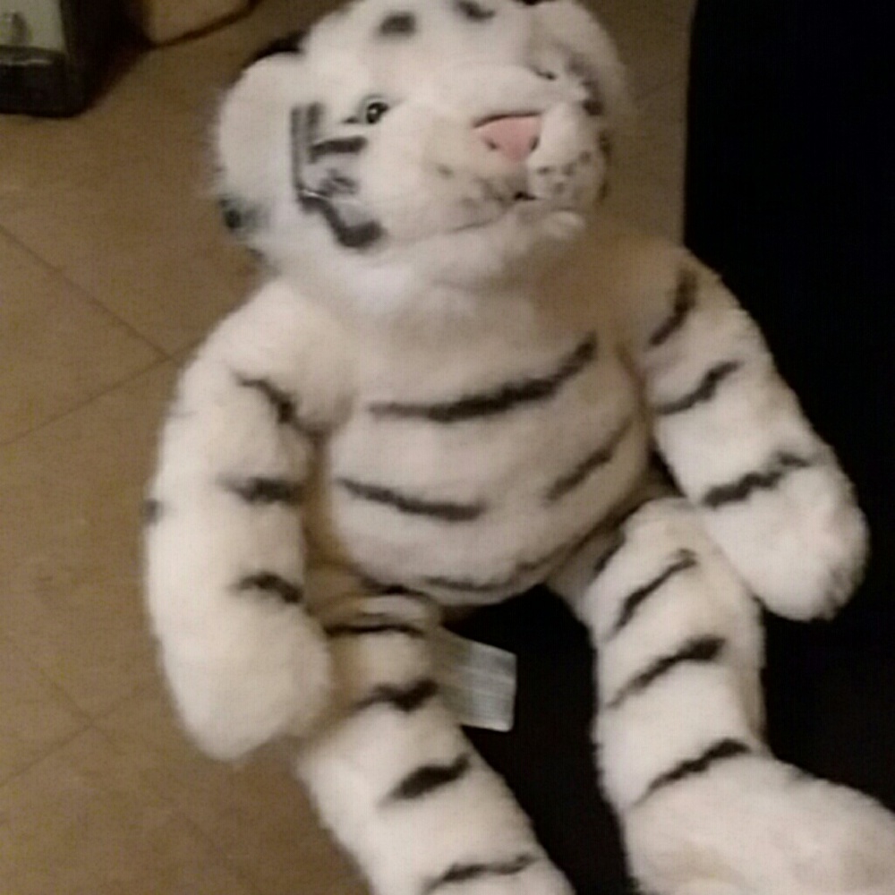 White stripped Tiger